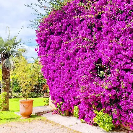 Сasa de vacaciones Les Deux Mas *