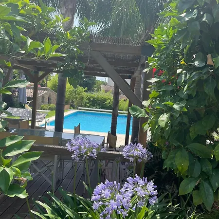 Les Deux Mas بورم لي ميموزا