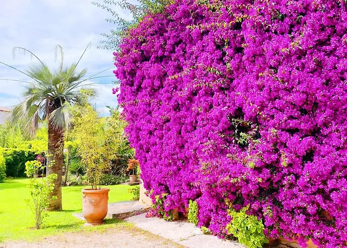 別荘 Les Deux Mas *